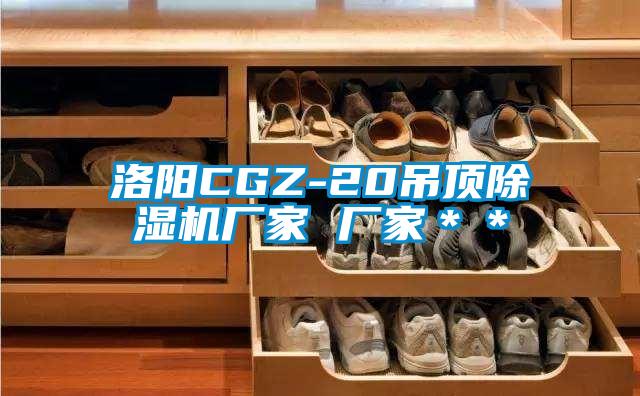 欧美黄色电影在线播放 洛阳CGZ-20吊顶除湿机厂家 厂家＊＊