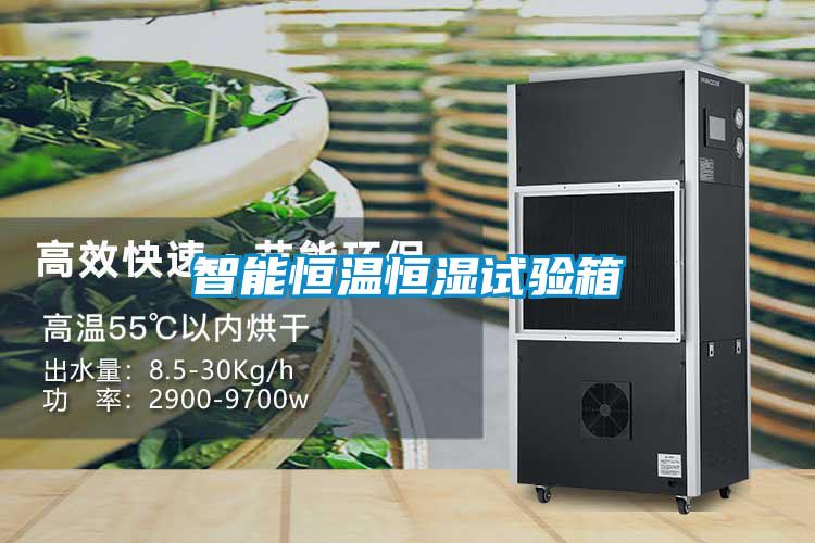 欧美黄色电影在线播放 智能恒温恒湿试验箱