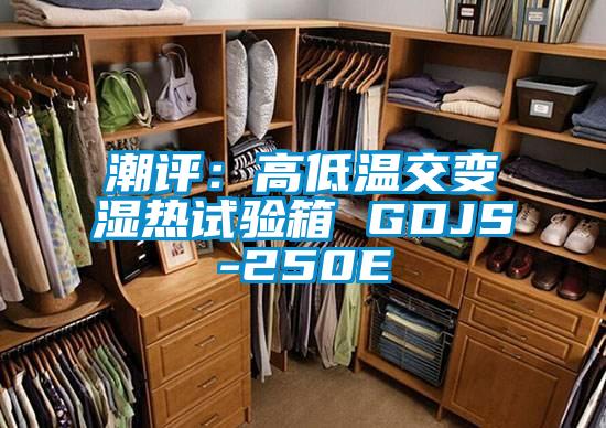 欧美成色手机在线观看 潮评：高低温交变湿热试验箱 GDJS-250E