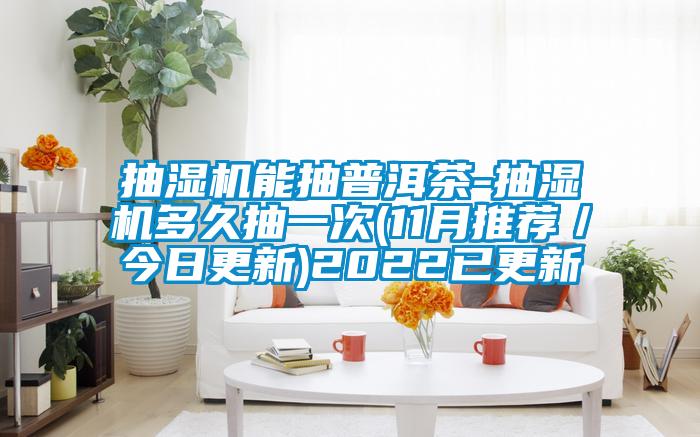 抽湿机能抽普洱茶-抽湿机多久抽一次(11月推荐／今日更新)2022已更新