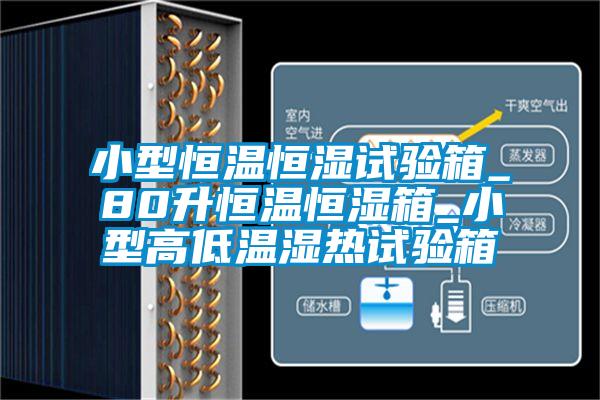 欧美黄色性爱视频网站 小型恒温恒湿试验箱_80升恒温恒湿箱_小型高低温湿热试验箱