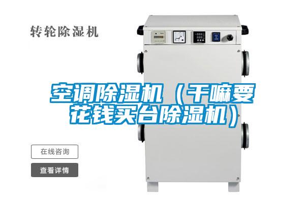 欧美黄色性爱视频网站 空调除湿机（干嘛要花钱买台除湿机）