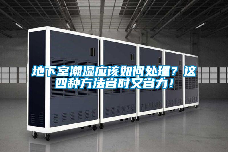 欧美成色手机在线观看 地下室潮湿应该如何处理？这四种方法省时又省力！