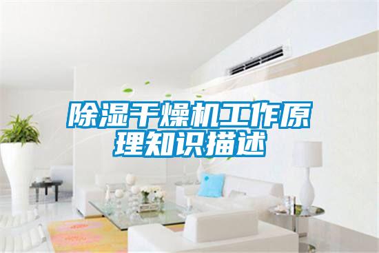 欧美黄色电影在线播放 除湿干燥机工作原理知识描述