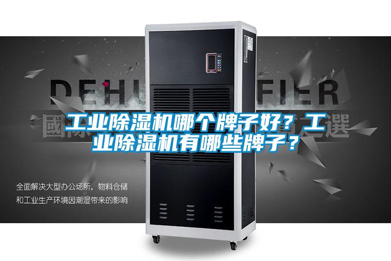欧美成色手机在线观看 工业除湿机哪个牌子好？工业除湿机有哪些牌子？