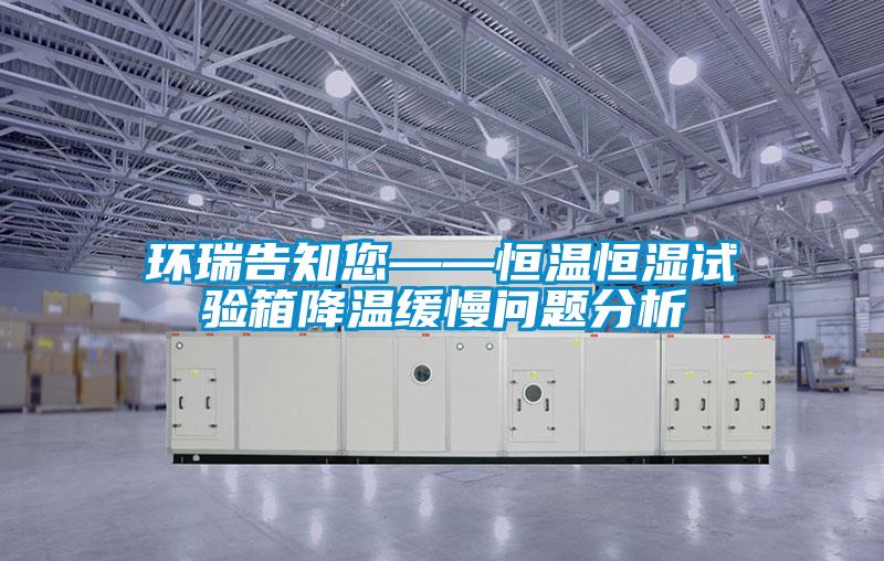欧美黄色电影在线播放 环瑞告知您——恒温恒湿试验箱降温缓慢问题分析