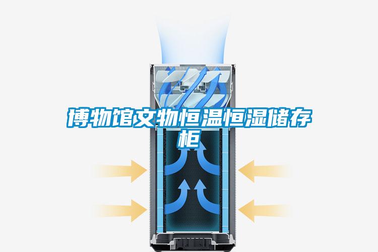 欧美黄色电影在线播放 博物馆文物恒温恒湿储存柜