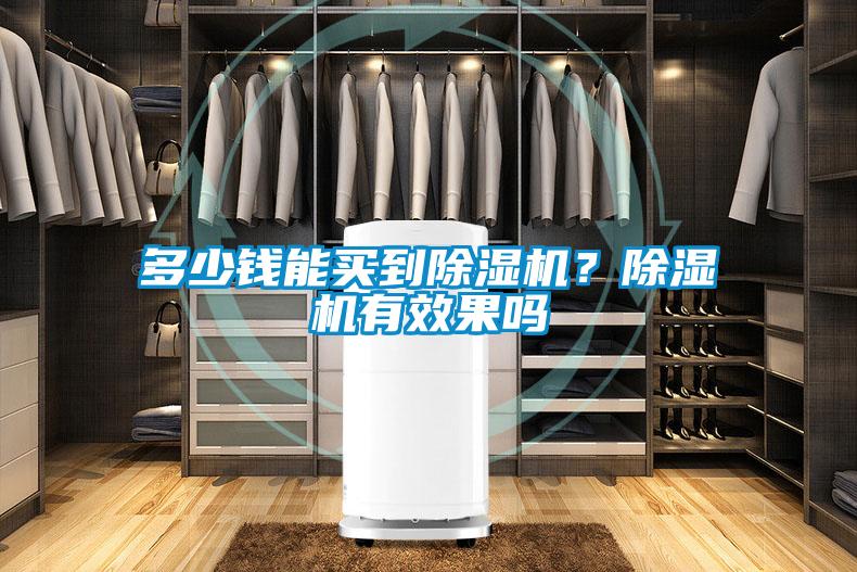 欧美黄色性爱视频网站 多少钱能买到除湿机？除湿机有效果吗