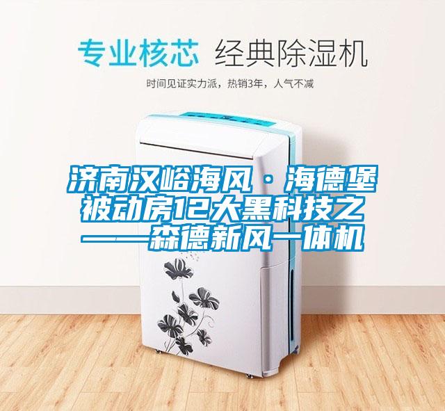 欧美黄色性爱视频网站 济南汉峪海风·海德堡被动房12大黑科技之——森德新风一体机