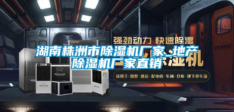 欧美成色手机在线观看 湖南株洲市除湿机厂家_地产除湿机厂家直销