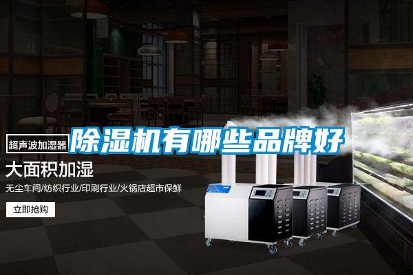 欧美成色手机在线观看 除湿机有哪些品牌好
