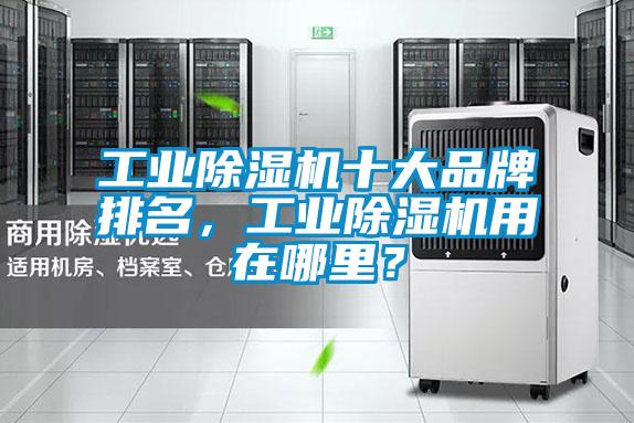 欧美成色手机在线观看 工业除湿机十大品牌排名，工业除湿机用在哪里？