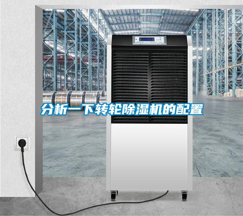 欧美黄色性爱视频网站 分析一下转轮除湿机的配置