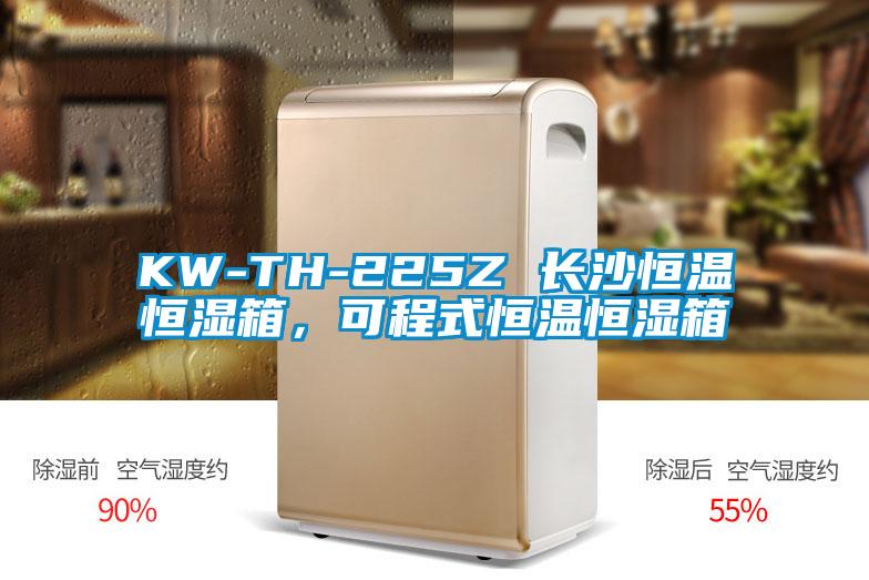欧美黄色性爱视频网站 KW-TH-225Z 长沙恒温恒湿箱，可程式恒温恒湿箱