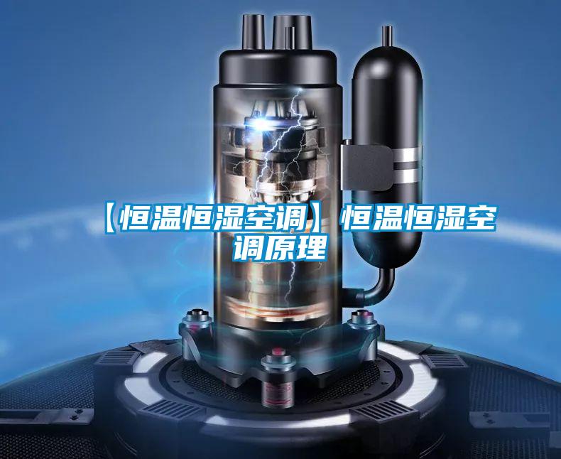 欧美黄色性爱视频网站 【恒温恒湿空调】恒温恒湿空调原理