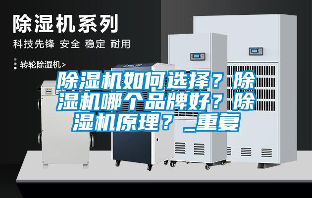 欧美黄色性爱视频网站 除湿机如何选择？除湿机哪个品牌好？除湿机原理？_重复