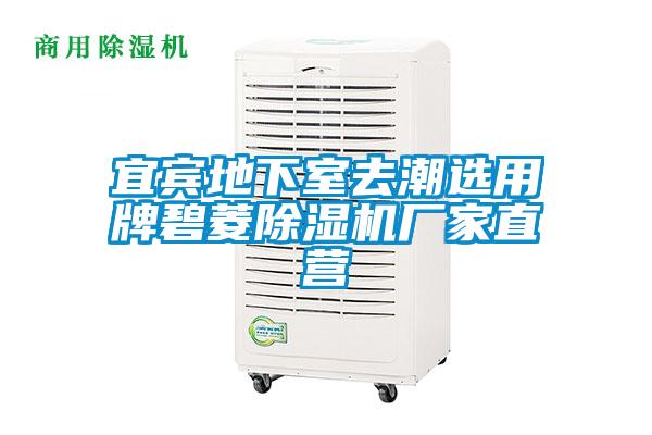欧美黄色性爱视频网站 宜宾地下室去潮选用牌碧菱除湿机厂家直营