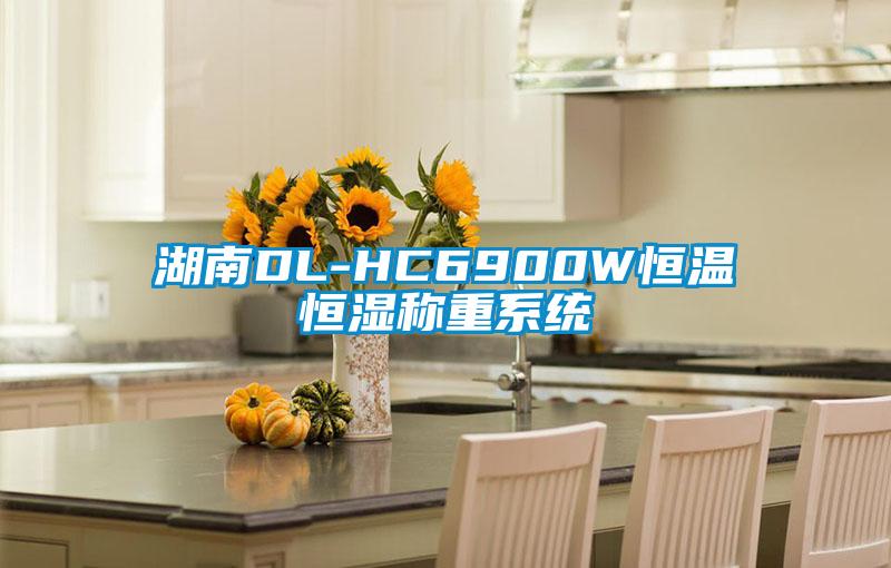 欧美成色手机在线观看 湖南DL-HC6900W恒温恒湿称重系统