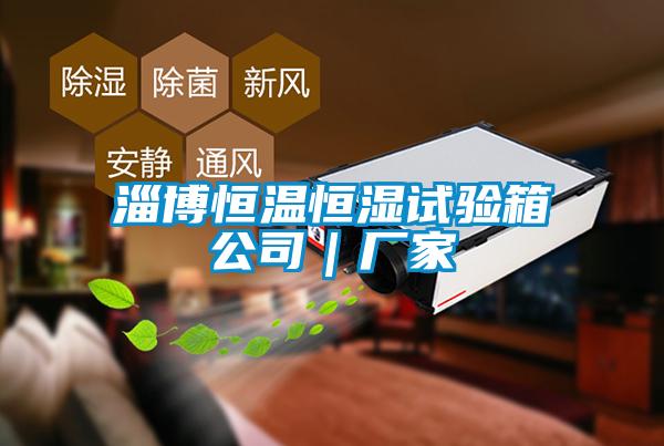 欧美黄色电影在线播放 淄博恒温恒湿试验箱公司｜厂家