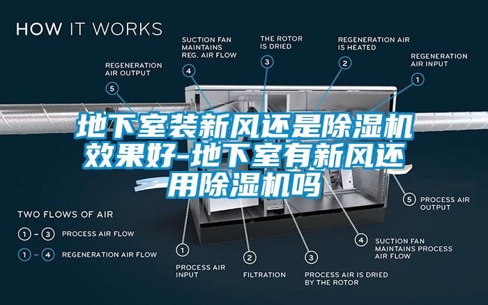 欧美成色手机在线观看 地下室装新风还是除湿机效果好-地下室有新风还用除湿机吗