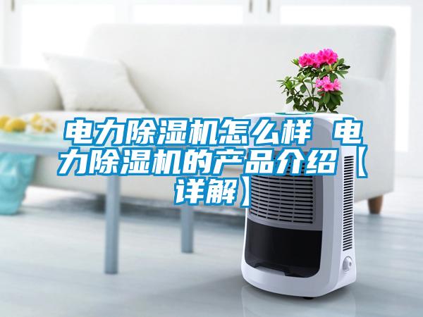 欧美黄色电影在线播放 电力除湿机怎么样 电力除湿机的产品介绍【详解】