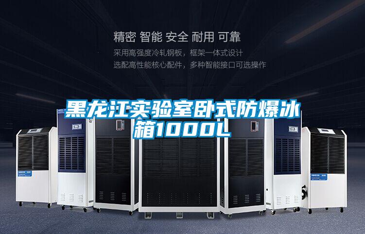 欧美黄色性爱视频网站 黑龙江实验室卧式防爆冰箱1000L