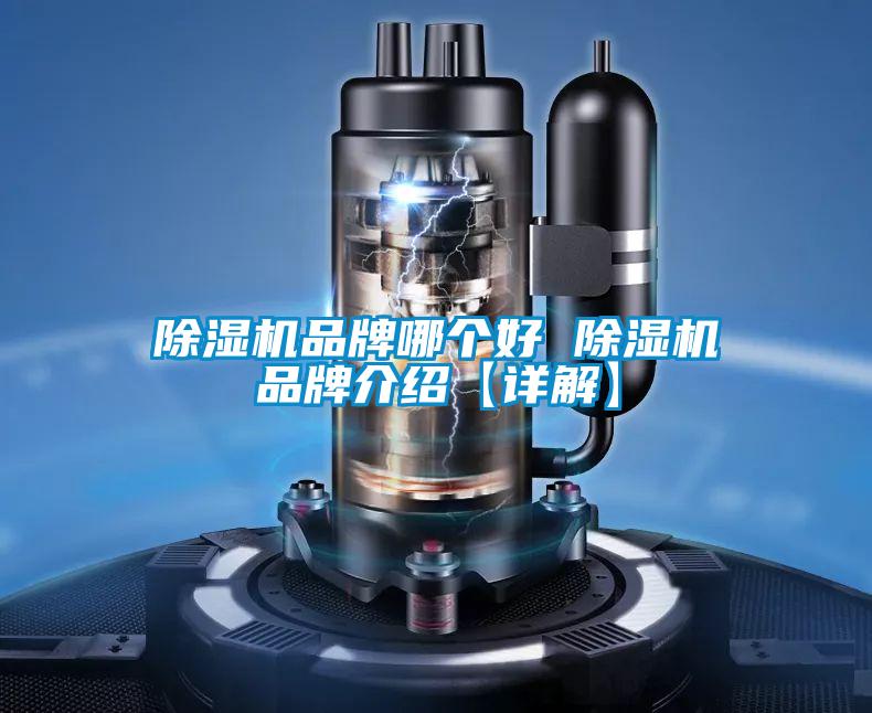 欧美成色手机在线观看 除湿机品牌哪个好 除湿机品牌介绍【详解】