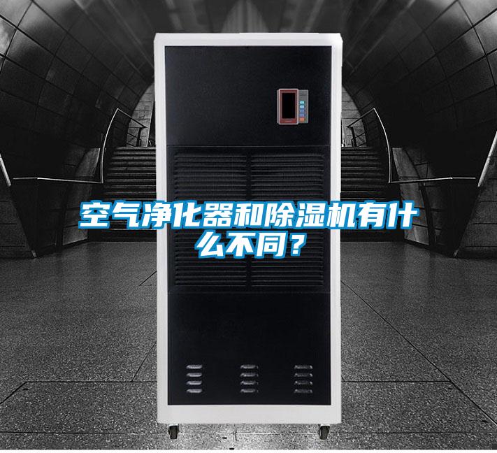 欧美黄色电影在线播放 空气净化器和除湿机有什么不同？