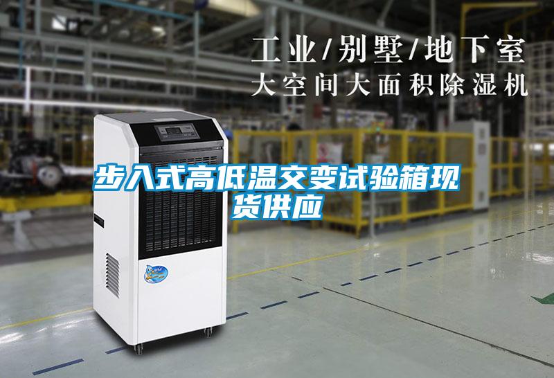 欧美黄色性爱视频网站 步入式高低温交变试验箱现货供应