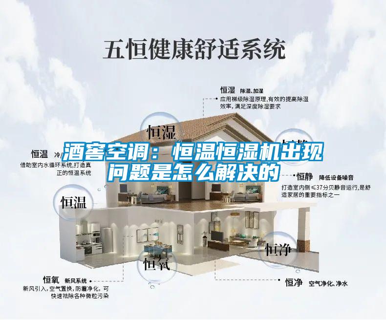 欧美成色手机在线观看 酒窖空调：恒温恒湿机出现问题是怎么解决的