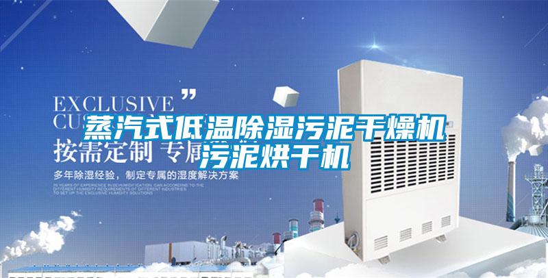 欧美黄色电影在线播放 蒸汽式低温除湿污泥干燥机 污泥烘干机