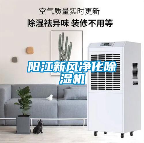 欧美成色手机在线观看 阳江新风净化除湿机