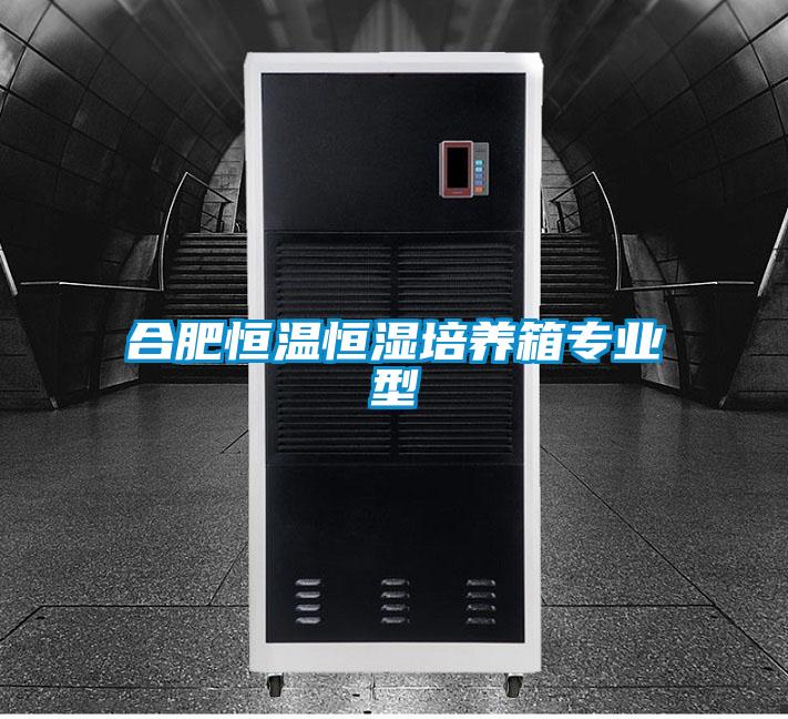 欧美黄色电影在线播放 合肥恒温恒湿培养箱专业型