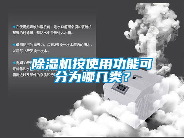 欧美黄色电影在线播放 除湿机按使用功能可分为哪几类？