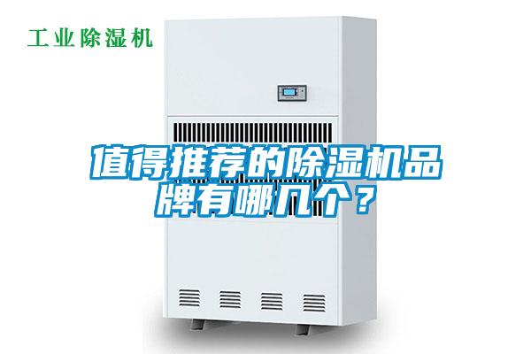 欧美黄色电影在线播放 值得推荐的除湿机品牌有哪几个？