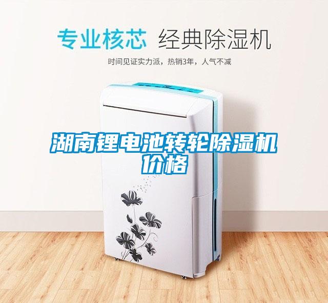 欧美黄色性爱视频网站 湖南锂电池转轮除湿机价格