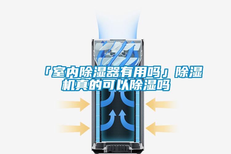 欧美黄色电影在线播放 「室内除湿器有用吗」除湿机真的可以除湿吗