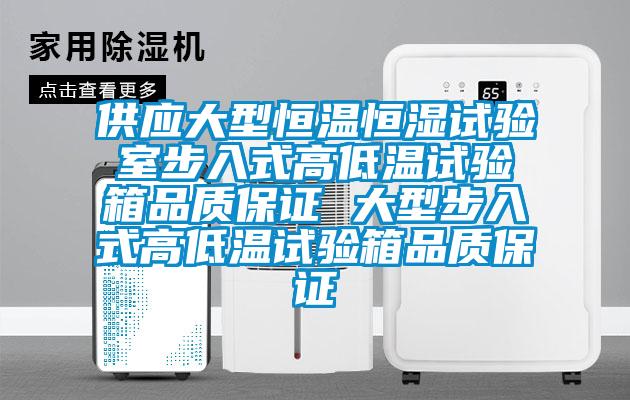 供应大型恒温恒湿试验室步入式高低温试验箱品质保证 大型步入式高低温试验箱品质保证
