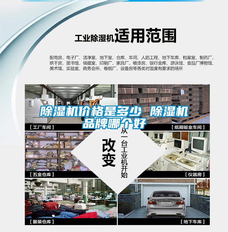 欧美黄色电影在线播放 除湿机价格是多少 除湿机品牌哪个好