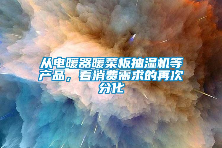 欧美黄色性爱视频网站 从电暖器暖菜板抽湿机等产品，看消费需求的再次分化