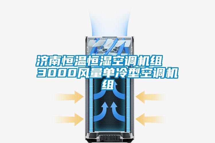欧美黄色电影在线播放 济南恒温恒湿空调机组  3000风量单冷型空调机组