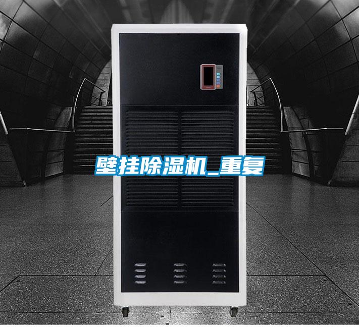 欧美黄色性爱视频网站 壁挂除湿机_重复