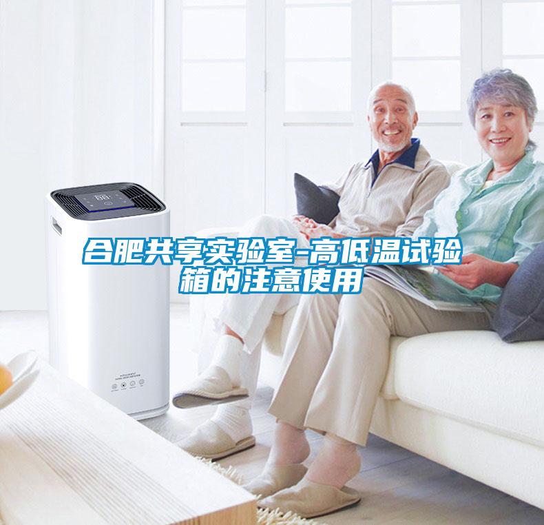欧美黄色电影在线播放 合肥共享实验室-高低温试验箱的注意使用