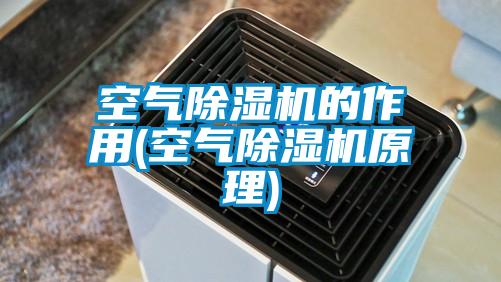 欧美黄色电影在线播放 空气除湿机的作用(空气除湿机原理)