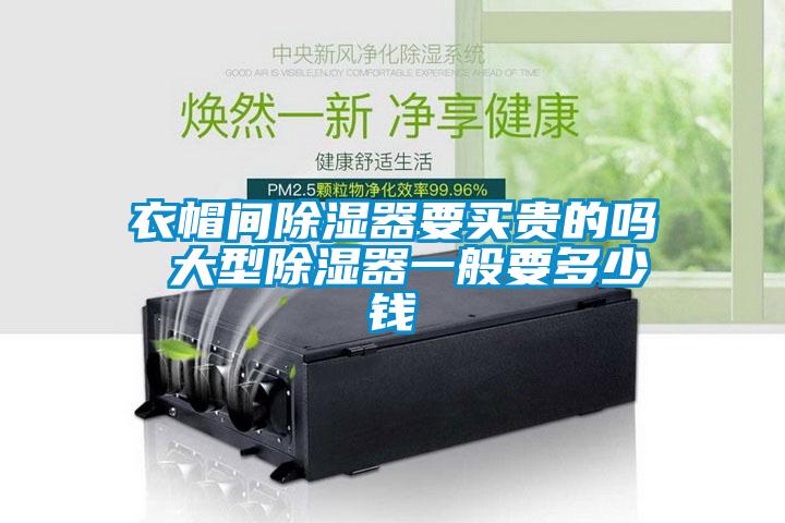欧美黄色电影在线播放 衣帽间除湿器要买贵的吗 大型除湿器一般要多少钱