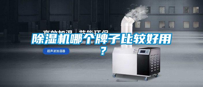 欧美黄色电影在线播放 除湿机哪个牌子比较好用？