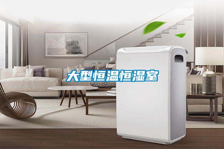 欧美黄色性爱视频网站 大型恒温恒湿室