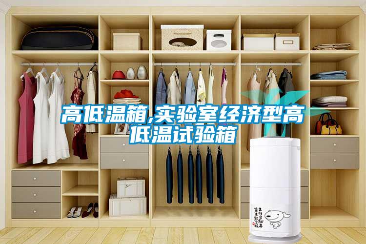 欧美黄色电影在线播放 高低温箱,实验室经济型高低温试验箱