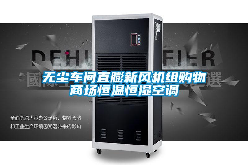 欧美黄色性爱视频网站 无尘车间直膨新风机组购物商场恒温恒湿空调