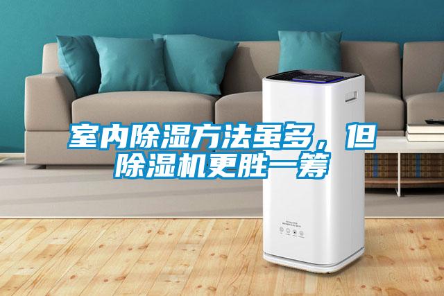 欧美成色手机在线观看 室内除湿方法虽多，但除湿机更胜一筹